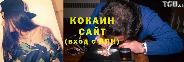 твердый Абаза