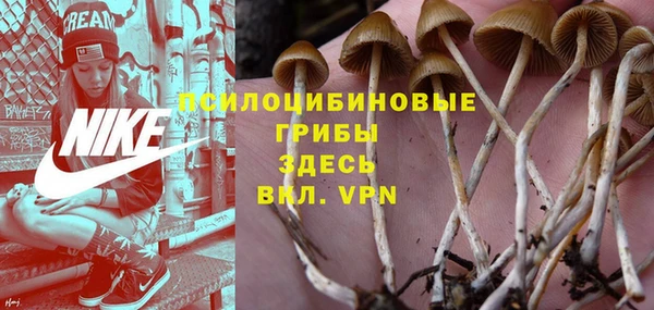 ALPHA PVP Осташков