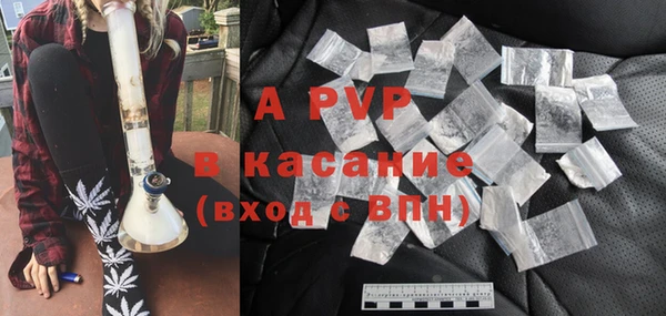 твердый Абаза