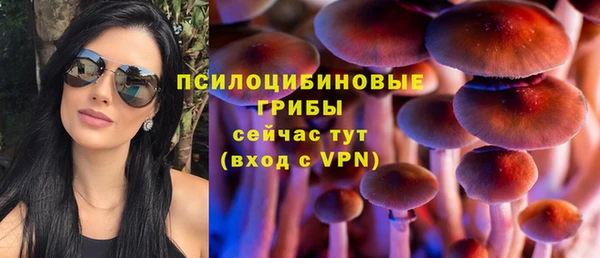 гидра Абдулино